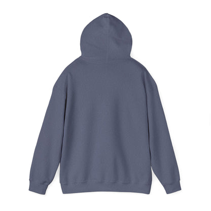 Jesus Fish Unisex Softstyle Hoodie